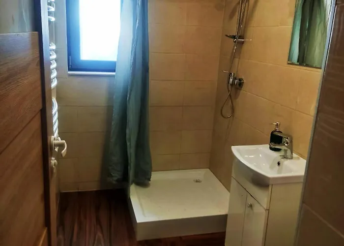 Lysa Gora זאטור